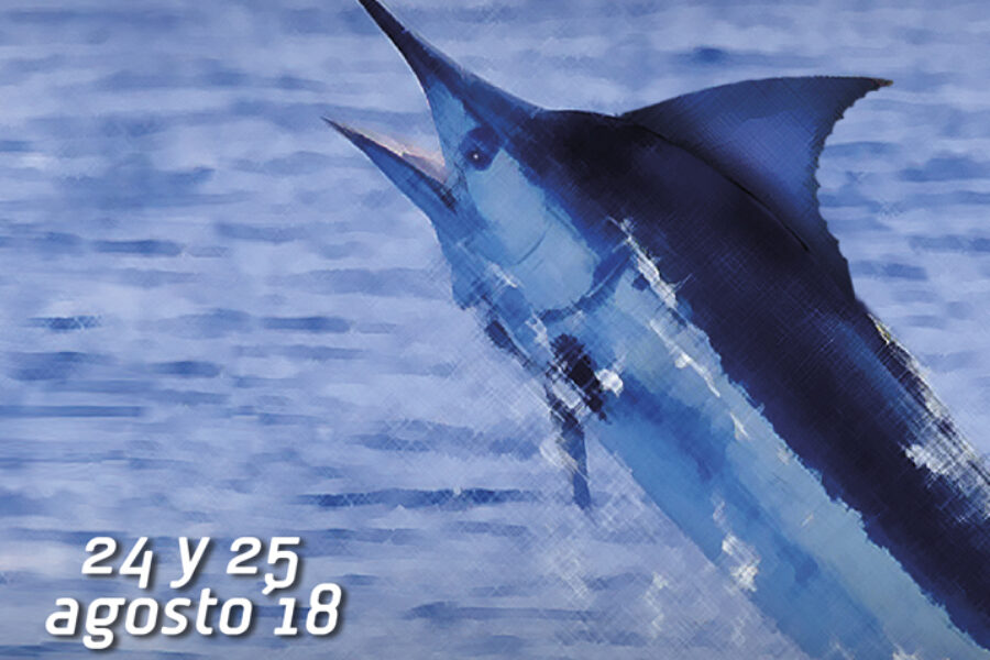 Esta semana arranca la 29º edición del Concurso de Pesca de Altura Pasito Blanco