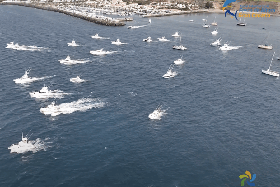 El III Open Internacional de Pesca Gran Canaria leva anclas en Pasito Blanco