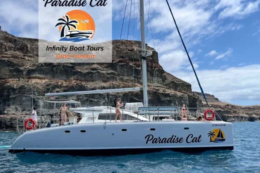 Paradise Cat