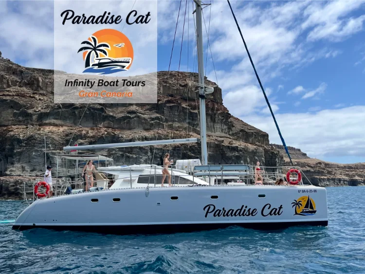 Paradise Cat