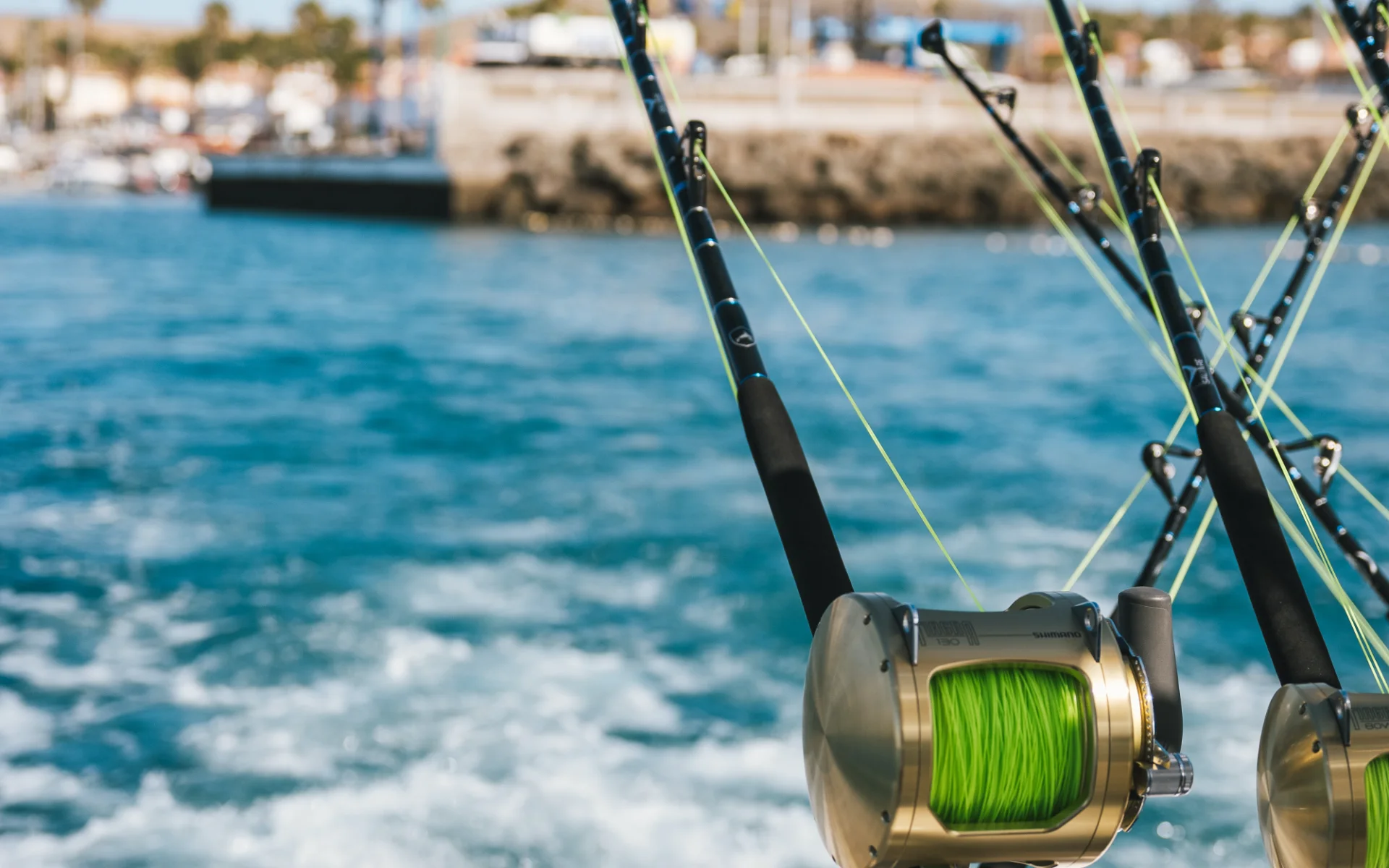 Pasito_Blanco_Pesca_Galeria_01