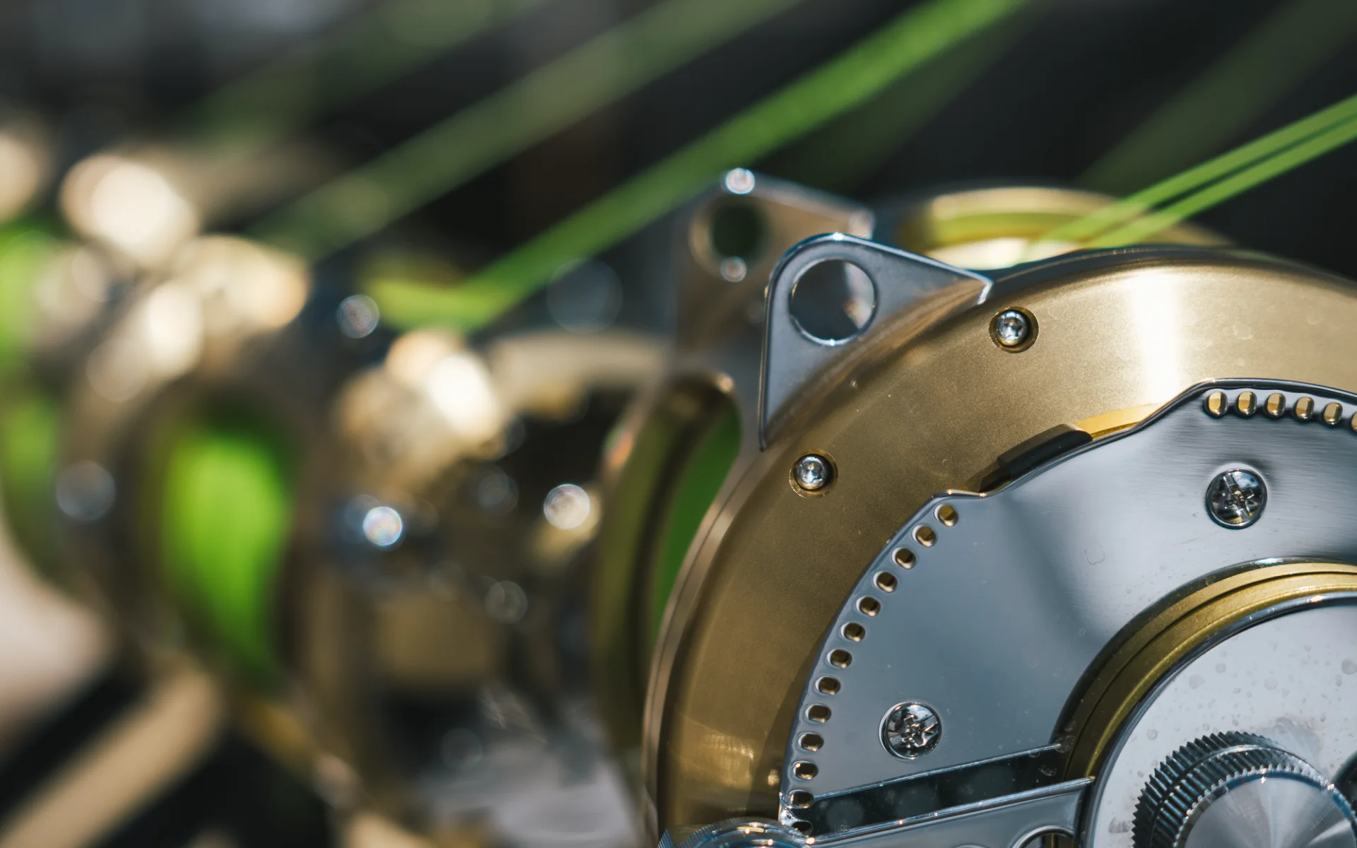 Pasito_Blanco_Pesca_Galeria_02