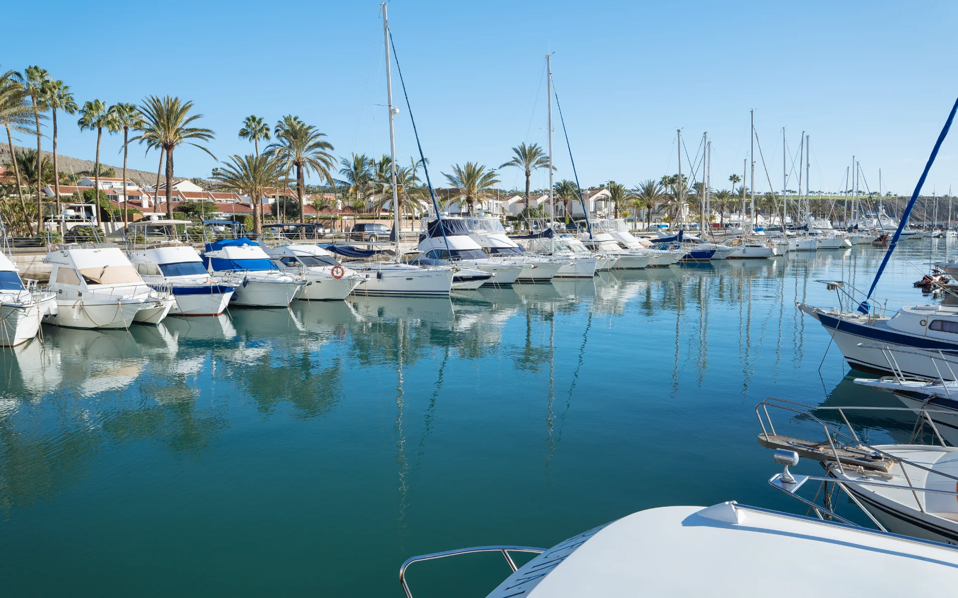 Pasito_Blanco_Puerto_Galeria_02