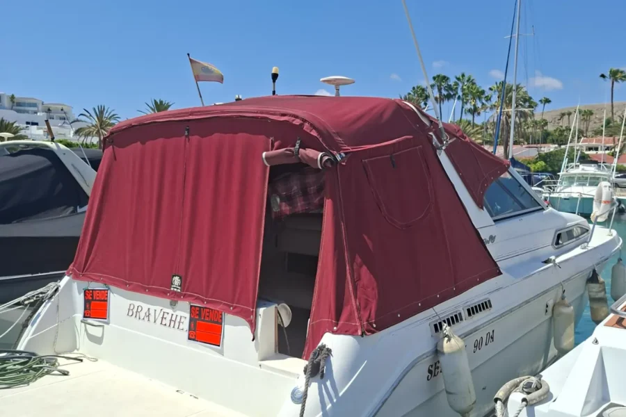 Sea Ray 290 Sundancer