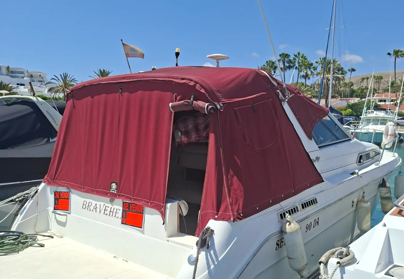 Sea Ray 290 Sundancer